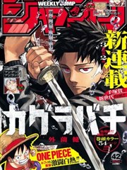 大理寺日志漫画速览数据与索引卡叠放示意